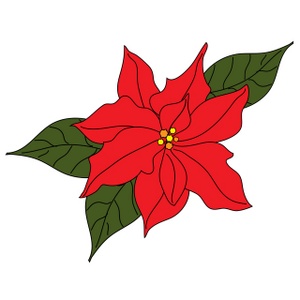 10 images about Poinsettia o - Poinsetta Clip Art 10 images about Poinsettia o - Poinsetta Clip Art