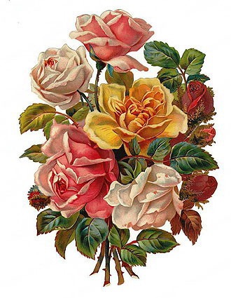 17 images about vintage flow - Vintage Flower Clipart 17 images about vintage flow - Vintage Flower Clipart
