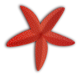 Are you looking for a starfis - Starfish Clip Art Free Are you looking for a starfis - Starfish Clip Art Free