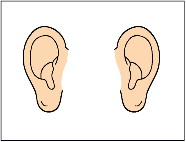 ear clipart - Clip Art Ears ear clipart - Clip Art Ears