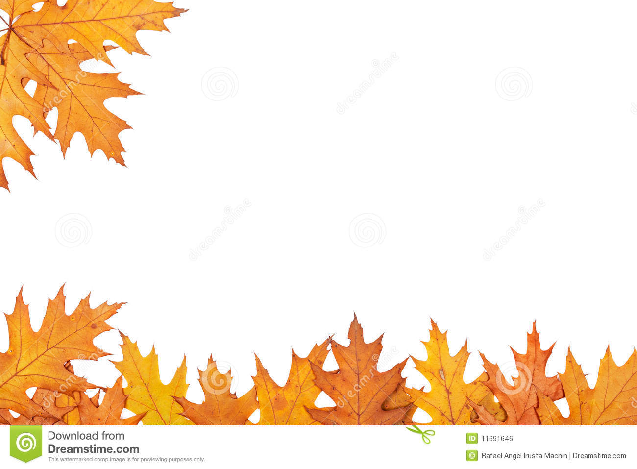 67 leaf border clip art free clipartlook