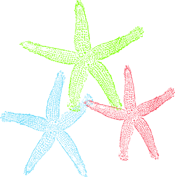 Free Set of Three Colorful St - Starfish Clip Art Free Free Set of Three Colorful St - Starfish Clip Art Free
