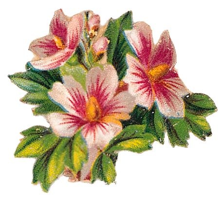 ... free-vintage-cli-art-flow - Vintage Flower Clipart ... free-vintage-cli-art-flow - Vintage Flower Clipart