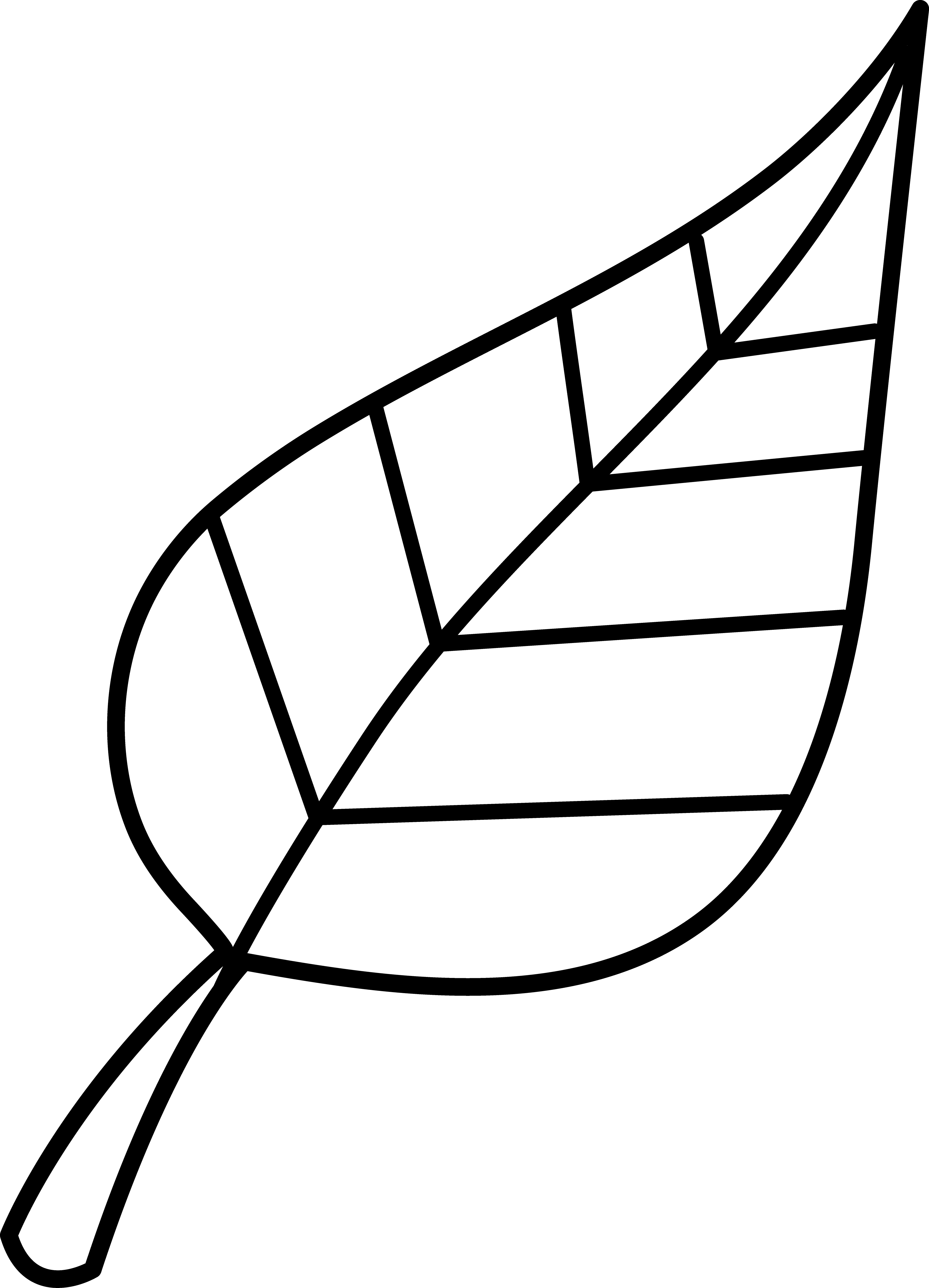Leaf Clip Art Outline Clipart - Leaves Clipart Black And White Leaf Clip Art Outline Clipart - Leaves Clipart Black And White