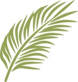 Palm Leaf Clipart Clipart Bes - Palm Leaf Clipart Palm Leaf Clipart Clipart Bes - Palm Leaf Clipart