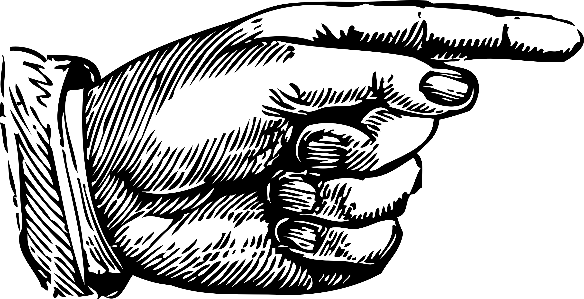 pointing hand - Pointing Hand Clipart pointing hand - Pointing Hand Clipart