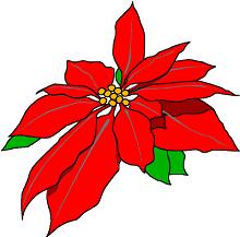 red poinsettia - Poinsetta Clip Art red poinsettia - Poinsetta Clip Art