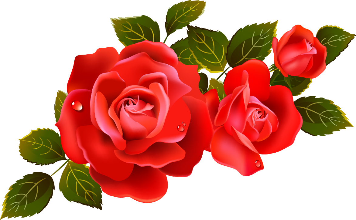 Roses red rose clipart clipar - Clipart Roses Roses red rose clipart clipar - Clipart Roses