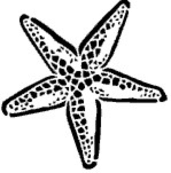 starfish clipart - Starfish Clip Art Free starfish clipart - Starfish Clip Art Free
