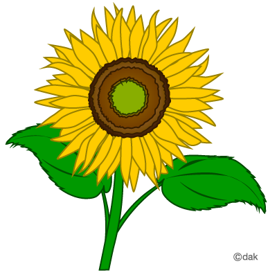Sunflower clip art clipart fr - Sun Flower Clip Art Sunflower clip art clipart fr - Sun Flower Clip Art