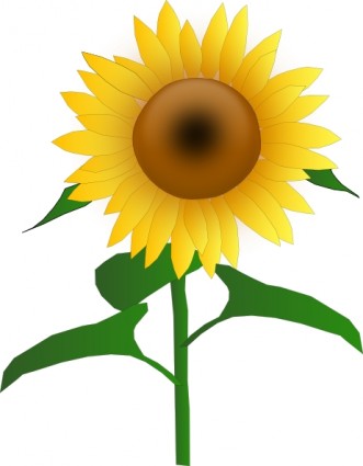 Sunflower Clip Art - Sun Flower Clip Art Sunflower Clip Art - Sun Flower Clip Art