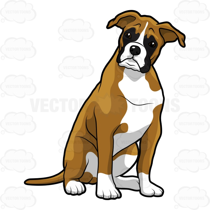 44 boxer dog clipart clipartlook dog sitt