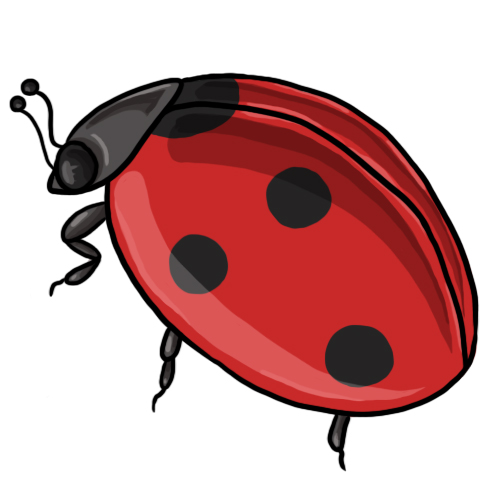 Ladybug Clip Art--0