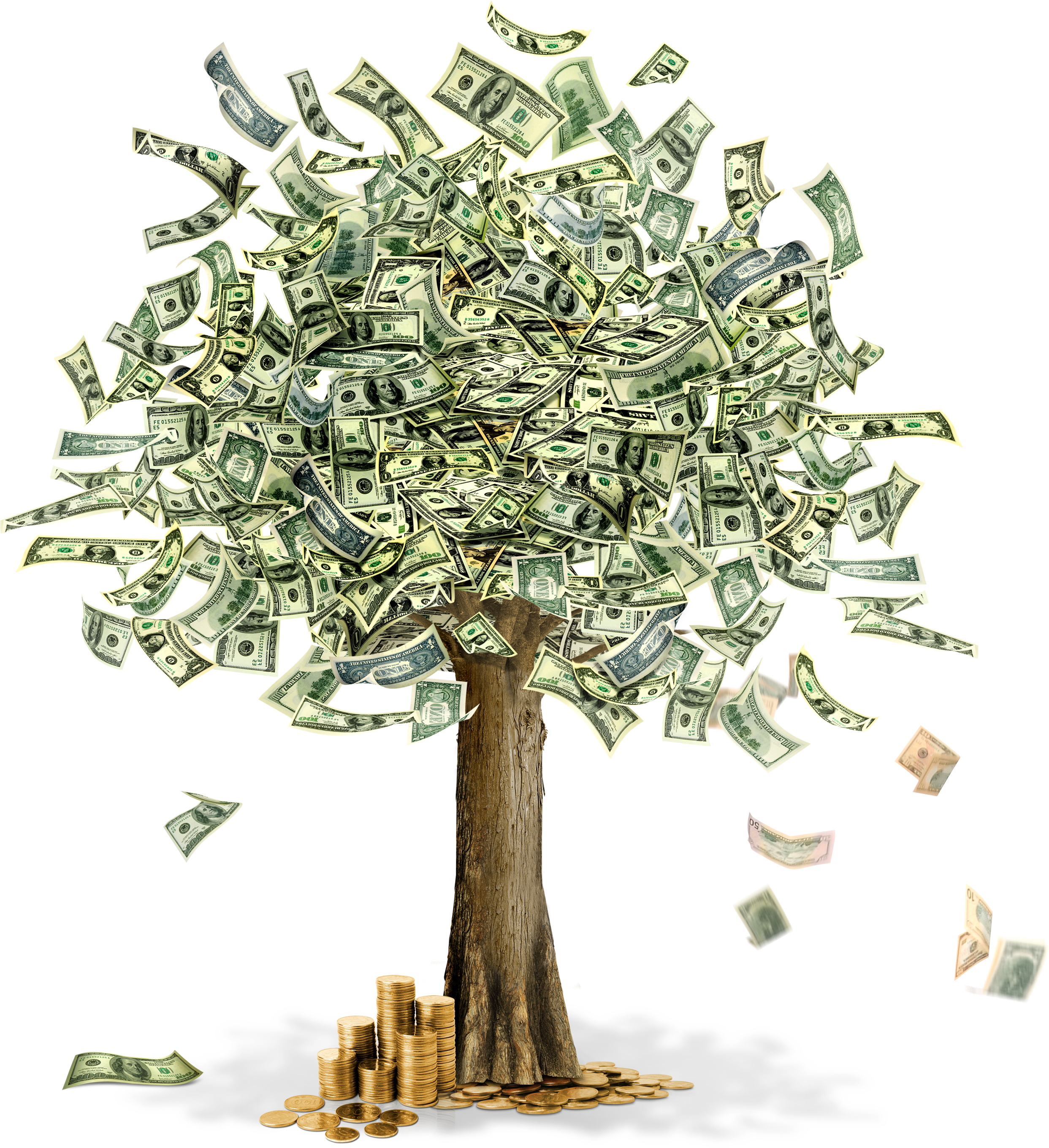 Money Tree Clipart