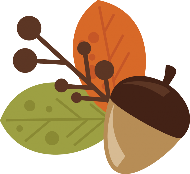 29 Acorn Pictures Free Clipar
