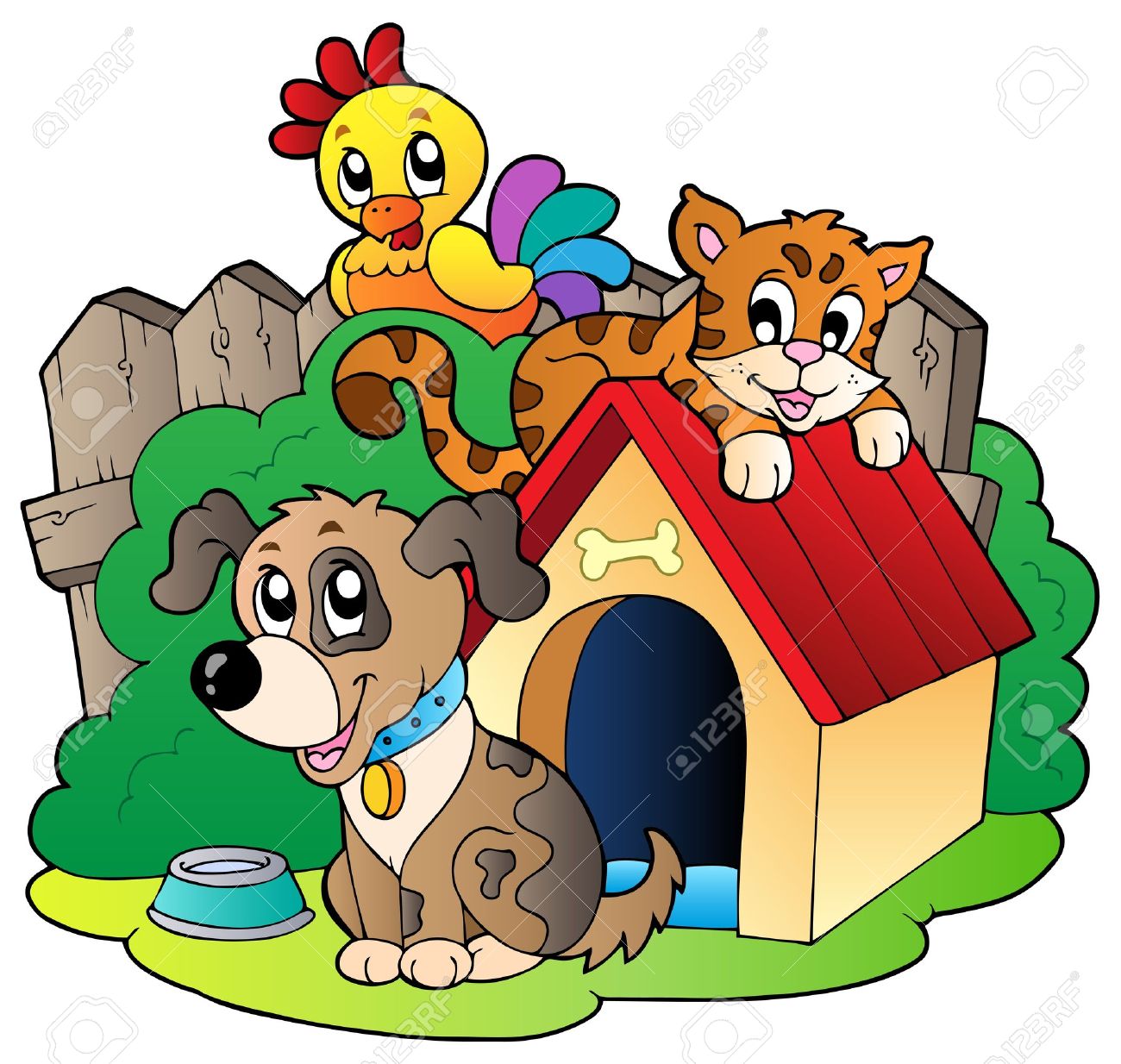 Cat and Dog Shelter .