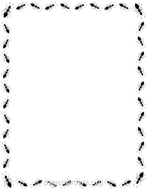 Ant Border-Ant Border-3