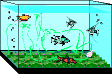 Aquarium Clipart-aquarium clipart-2