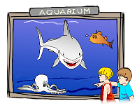 Aquarium-Aquarium-4