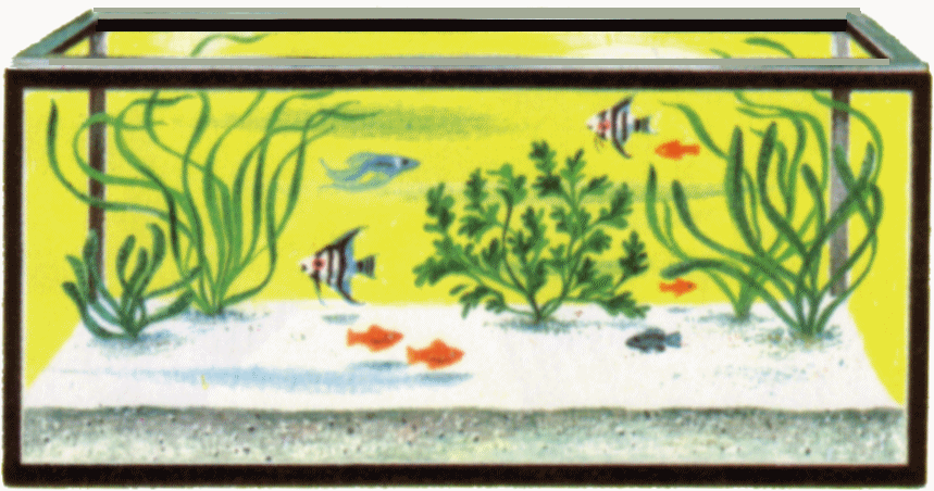 Aquarium Clip Art-Aquarium Clip Art-6