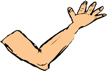Arm 20clipart Clipart Panda Free Clipart-Arm 20clipart Clipart Panda Free Clipart Images-4