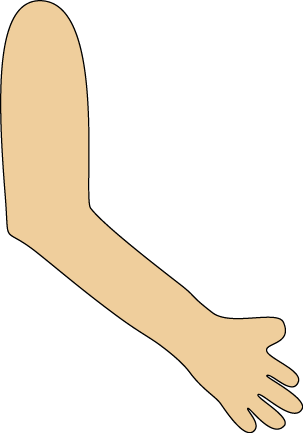 Arm Clip Art Image - Transparent Png Arm-Arm Clip Art Image - transparent png arm and hand.-7