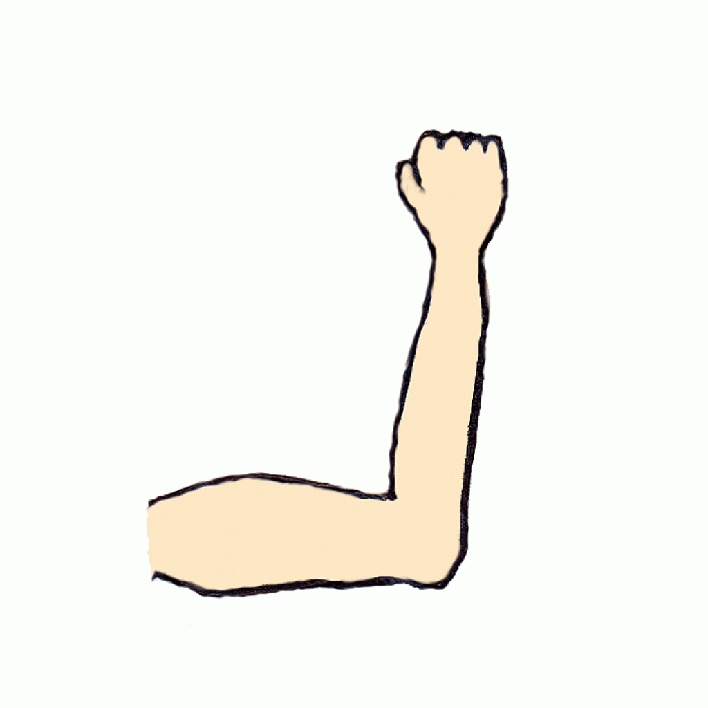 Arm Clipart For Kids Clipartfox-Arm clipart for kids clipartfox-9