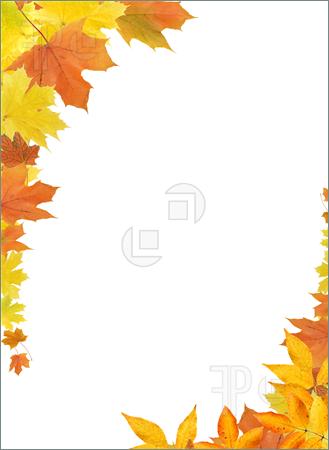 Autumn Border Clip Art - Google Search |-autumn border clip art - Google Search | Random | Pinterest | Simple, Art and Google-1