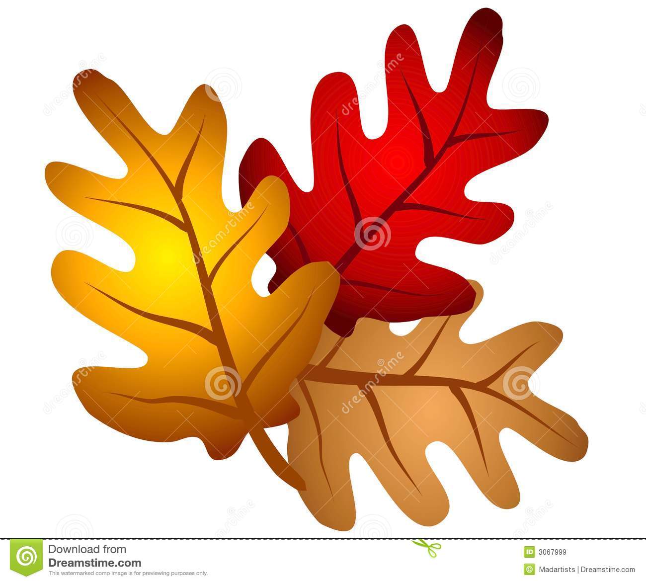 Autumn Oak Tree Leaves Clipart-Autumn Oak Tree Leaves Clipart-1