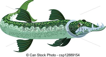 ... Barracuda - A Cartoony/stylized Look-... Barracuda - a cartoony/stylized looking greenish barracuda.-3