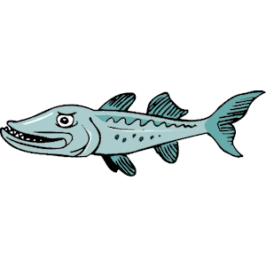 Barracuda Art Barracuda Clipart Cliparts-Barracuda Art Barracuda Clipart Cliparts-4