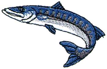 Barracuda Clipart #2-barracuda clipart #2-6