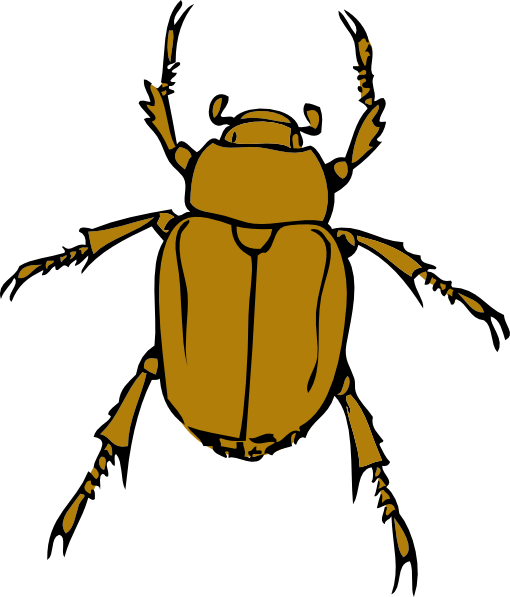 Beetle Bug Clip Art At Clker Com Vector -Beetle Bug Clip Art At Clker Com Vector Clip Art Online Royalty-0