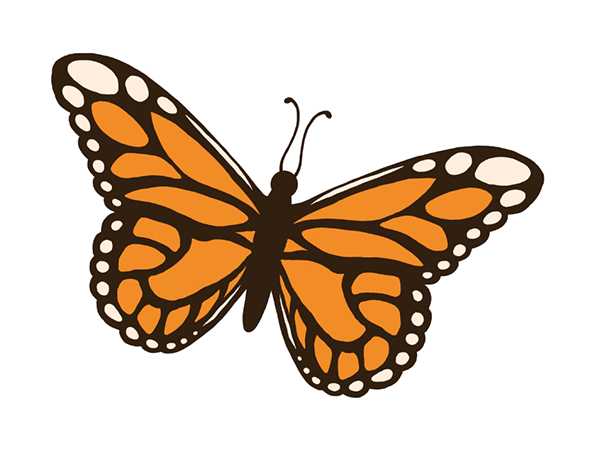 Beetle Clip Art Was Made Digitally By Sh-Beetle clip art was made digitally by Shanna Anderson. The original beetle shape was made as a vector in Adobe Illustrator. All recoloring and other ...-1