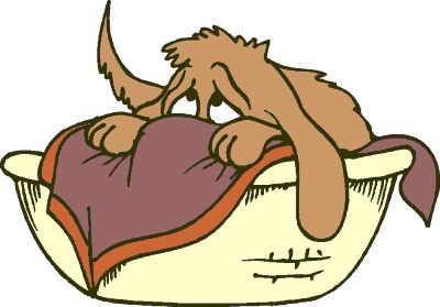 Best Beds, Pet Care And Dogs .-Best beds, Pet care and Dogs .-1