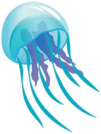Best Jellyfish Clipart #9686 - Clipartio-Best Jellyfish Clipart #9686 - Clipartion clipartall.com-0