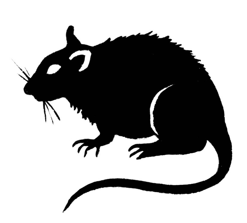 Clip Art Rat