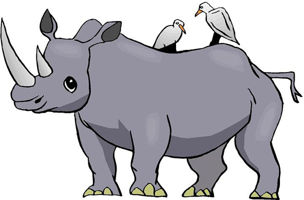 Black Rhino Janet Shillingburg S Webques-Black Rhino Janet Shillingburg S Webquest-2