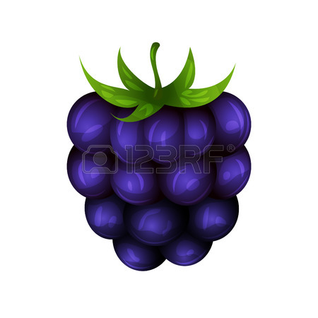 Clipart For Blackberry-Clipart for blackberry-12