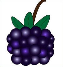 Free Blackberries Clipart-Free Blackberries Clipart-13