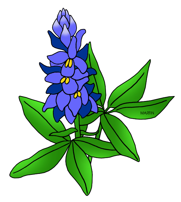 Bluebonnet Clip Art. Texas State Flower -Bluebonnet Clip Art. Texas State Flower - .-8