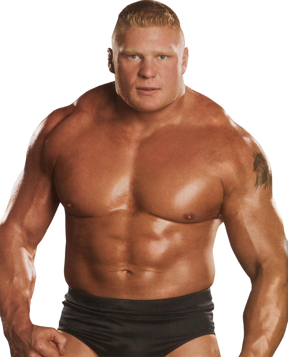 Brock Lesnar Clipart PNG Image-Brock Lesnar Clipart PNG Image-7