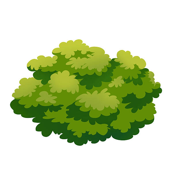 Bush Vector Art Illustration-Bush vector art illustration-8