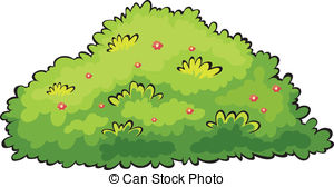 Green Bush - Illustration Of A Green Bus-Green bush - Illustration of a green bush on a white.-15