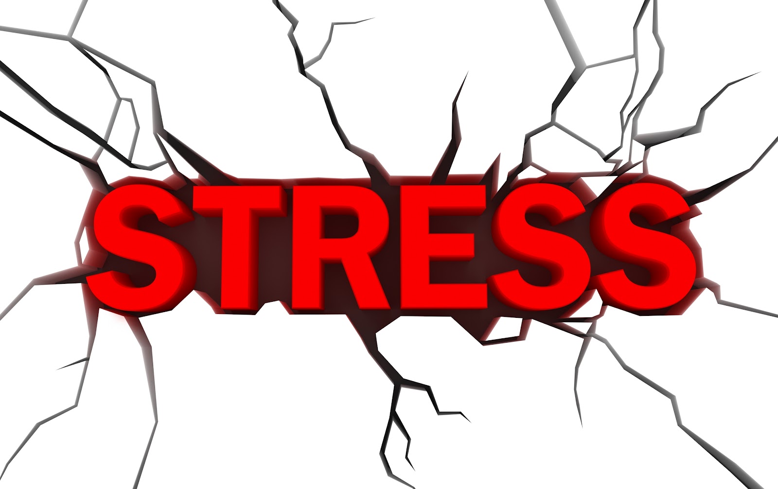Campus Anthology Stress Free-Campus Anthology Stress Free-1