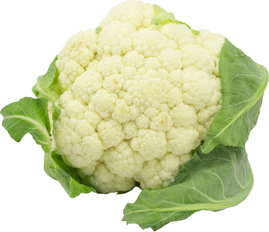Cauliflower Clipart PNG Image-Cauliflower Clipart PNG Image-8