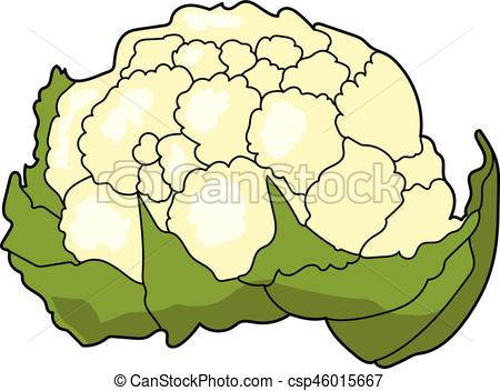 Cauliflower - Csp46015667-cauliflower - csp46015667-10
