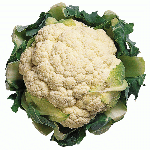 Free Cauliflower Clipart-Free Cauliflower Clipart-18