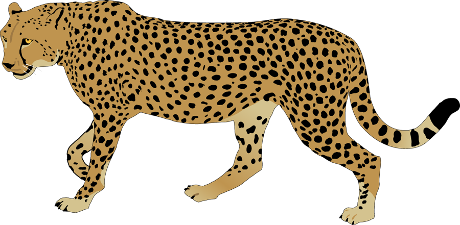Cheetah Clipart