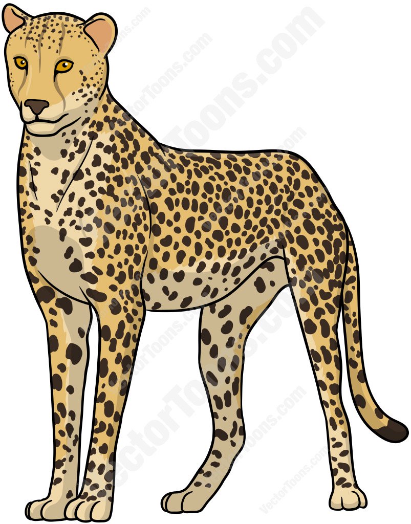 Standing Cheetah Cartoon Clipart-Standing Cheetah Cartoon Clipart-14